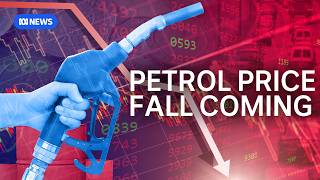 Why the price of unleaded petrol will keep falling in the coming weeks  The Business  ABC News [upl. by Ainaled]