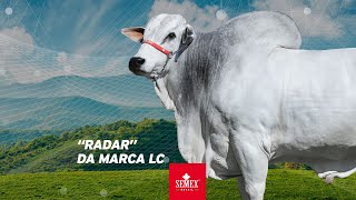 Radar da Marca LC [upl. by Dnomal]