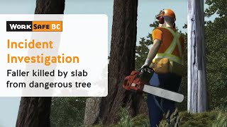 Incident Investigation Faller Killed by Slab From Dangerous Tree  WorkSafeBC [upl. by Kenyon101]