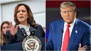 Voto latino ¿Definirá la elección entre Kamala y Trump [upl. by Stander]