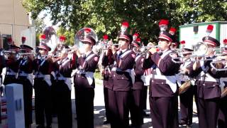 TBDBITL  Hang On Sloopy [upl. by Cart]