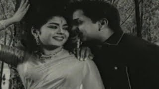 Kula Gothralu Movie Songs  Chelikadu Ninne Rammani Piluvaa Song  ANR Krishna Kumari Krishna [upl. by Ardnoik]