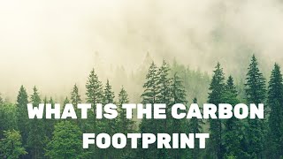 Understanding Your Carbon Footprint [upl. by Nosrak979]