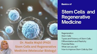 Stem Cells and Regenerative Medicine [upl. by Sang902]