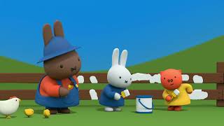 Miffy Paints the Farm Fence  Miffy  Best Of Miffy [upl. by Thornburg]