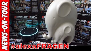 Amazon ALEXA Echo Dot 25 NEUE FragenBefehleSKILLS 27012018  Lerne jeden Tag was NEUES [upl. by Artamas]