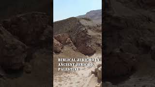 Ancient Jericho travel vlog palestine [upl. by Omissam]