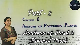 Anatomy of flowering plants  Part 2  Class 11 Biology  NCERT NEET [upl. by Warp]