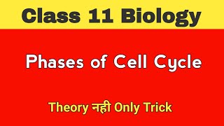 Trick  Phases of cell cycle class 11  In 5 minutes   Neet 2024 [upl. by Aicena]