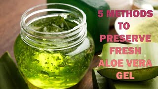 Preserve Aloe Vera Gel At Home [upl. by Sorcha]