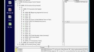 Creating an EDI Implementation Guideline quickly and accurately [upl. by Eiznyl882]