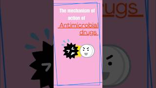 MECHANISM OF ACTION OF ANTIMICROBIAL DRUGS [upl. by Otter40]