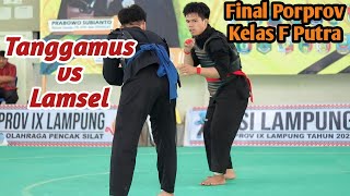 FINAL F Putra Tanggamus 🔴 vs Lamsel 🔵 Porprov Pencak Silat Lampung 2022 [upl. by Adriene]