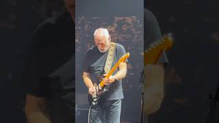 David Gilmour  In Any Tongue Live at Royal Albert Hall London 11 October 2024 davidgilmour [upl. by Ocir]