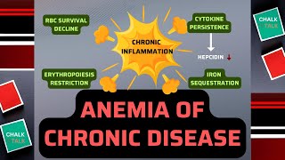 Anemia of Chronic Disease [upl. by Colner]