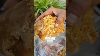 Metarhizium Anisopliae amp Paecilomyces Lilacinus Uses🌿बायो पेस्टीसाइड उपयोग🐝 ashasgardenstoryshorts [upl. by Lazare]