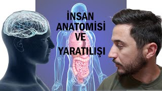 İNSAN ANATOMİSİ VE YARATILIŞ ORGANLARIMIZ NASIL ÇALIŞIR [upl. by Atarman]