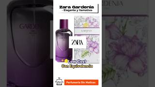 Gardenia de Zara Equivalencia y Análisis Top zara mujer Dupes y clon zara gardenia dupes top [upl. by Enrobso16]