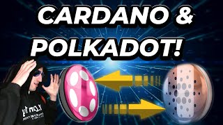 CARDANO on POLKADOT Angry Polkadot Degen says WHAT [upl. by Ide]