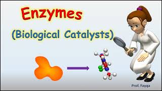 What are enzymes Cofactor Coenzyme and Prosthetic group class11 [upl. by Katee]