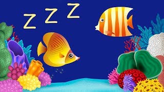 Bedtime Lullabies and Peaceful Fish Animation 2 Baby Lullaby [upl. by Charron]