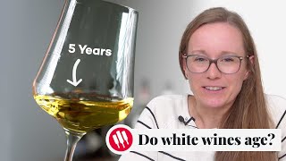 Learn by Tasting ep 26 Wine Folly [upl. by Einafats286]