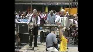 The Wurzels  Live in Broadmead  Bristol  30701  The Combine Harvester remix release gig [upl. by Aklam]