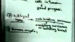 general pathology 36  DR SAMEH GHAZY prognosiscarcinogens [upl. by Akimit]