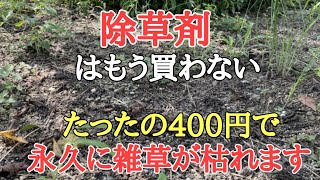 【雑草対策】ドクダミも1日で枯れた｜お花は枯らさず雑草だけを狙って枯らす裏技除草のやり方 [upl. by Weiman]