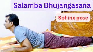 Salamba Bhujangasana and its benefits Yoga for spine and back Sphinx pose Nilabhra Yoga [upl. by Gus]