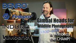 Gimbal Review for Wildlife 400600 Is Anything Better Than Wimberly [upl. by Cassandre]