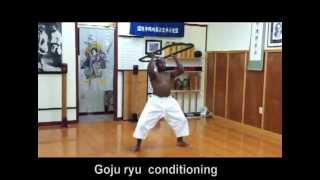 Traditional Karate Conditioning  Hojo Undo Okinawa Goju ryu wwwtucsonkaratenet [upl. by Stephani]