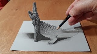 How To Draw A 3d Crocodile [upl. by Ycart]