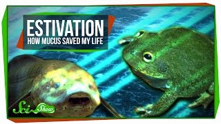 Estivation How Mucus Saved My Life [upl. by Lawry]