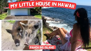 Life on Big Island Hawaii VLOG  Liliʻuokalani Gardens  Coconut Island  Banana Harvest [upl. by Lars]