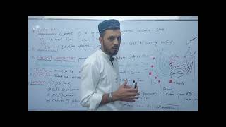 Golgi bodyGolgi apparatus class 11 bio explain by Tariq Roghani in Urdu Hindi language [upl. by Yrrad]