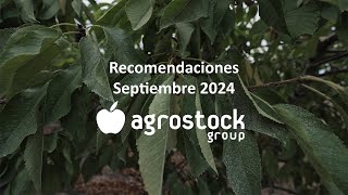 Recomendaciones Septiembre [upl. by Esenahs]