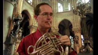 Mozart Horn Concerto No 3 1st Mvnt Steve ParkHorn [upl. by Scrope]