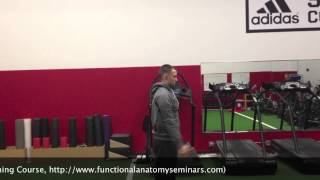 Controlled Articular Shoulder Rotations [upl. by Lletram]