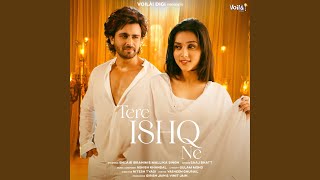 Tere Ishq Ne [upl. by Zetta]