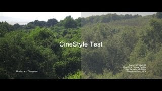 Canon 5D Mark III CineStyle Grade Comparison  An Afternoon on Heswall Dales Watch at 1080p [upl. by Freeland]