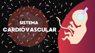 Embriología de Sistema Cardiovascular [upl. by Bondy]