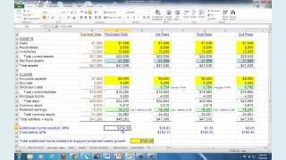 Financial Planning Budgeting and Forecasting Webinar [upl. by Bik]