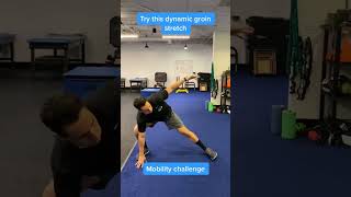 Groin Mobility for basketball players [upl. by Gwynne291]