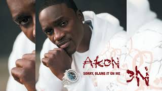 Akon  Sorry Blame It On Me Instrumental [upl. by Unam245]