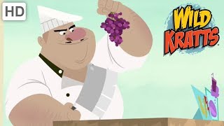 Wild Kratts  Stop The Endangered Species Chef  Kids Videos [upl. by Lucian890]