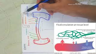 OEDEMA  hydrostatic pressure  oncotic pressure [upl. by Brade]