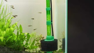 Sponge filter problem sponge filter problem viralvideo [upl. by Maurise]