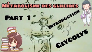 Métabolisme des glucides  introduction les étapes de glycolyse part 1 [upl. by Anawyt497]