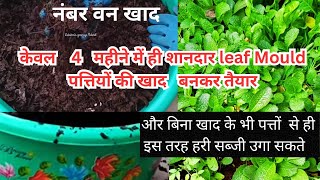 केवल 4 महीने में ही leafmould पत्तियों की खाद घर में बनाएँ  केवल पत्तों से हरि सब्जी ग्रो करें [upl. by Omero]